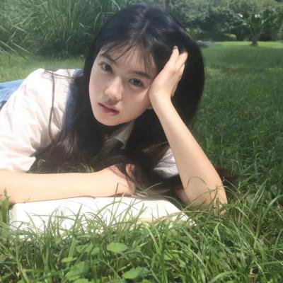 小狗吉米走私事件